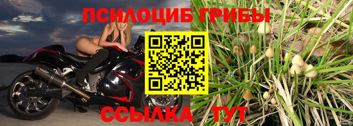 ГАШ  Корсаков  Метамфетамин  Меф  Мефедрон кристаллы  Каннабис  КОКАИН  Вход с VPN 