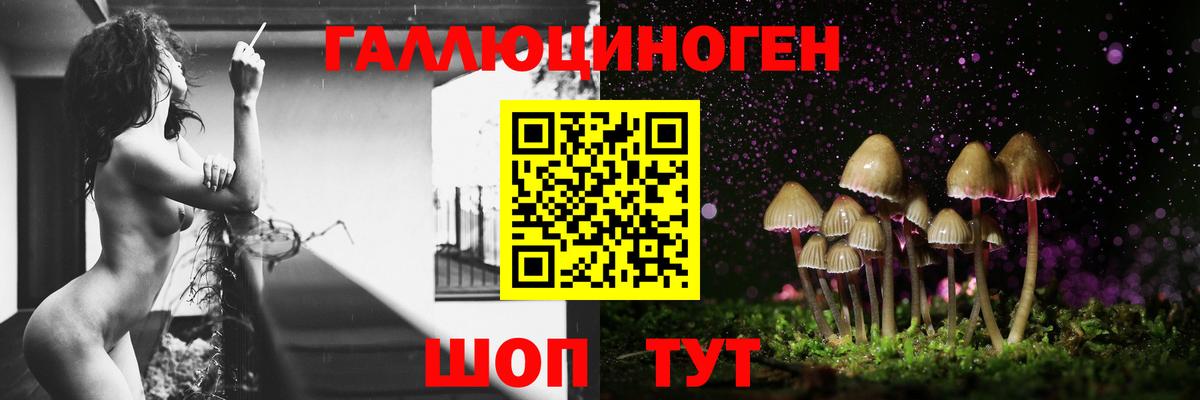 Псилоцибиновые грибы Psilocybine cubensis Корсаков